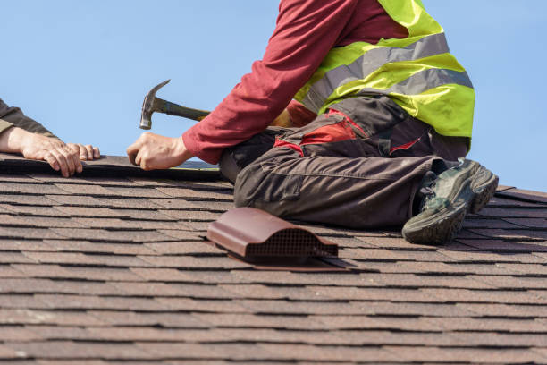 Professional Roofing Contractor in Lake Elmo, MN